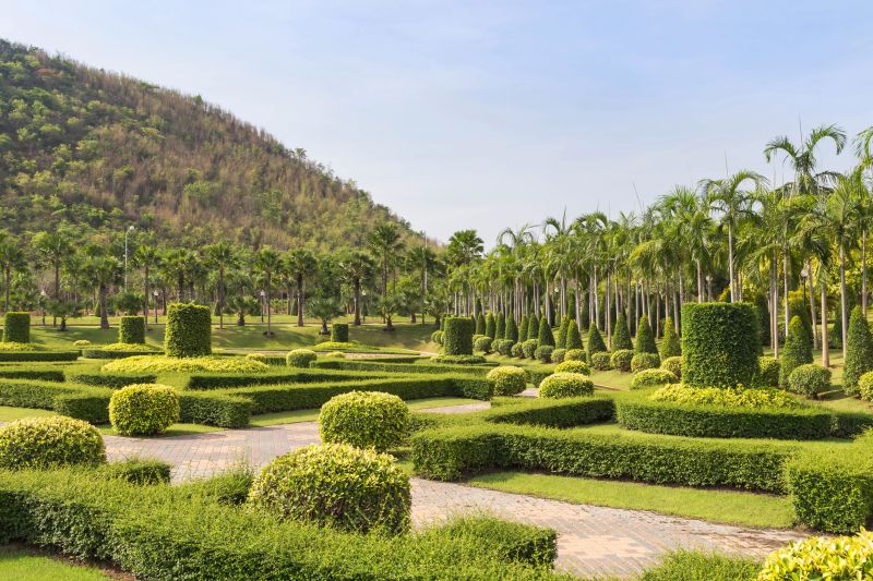 Completed Palm Tree Landscape